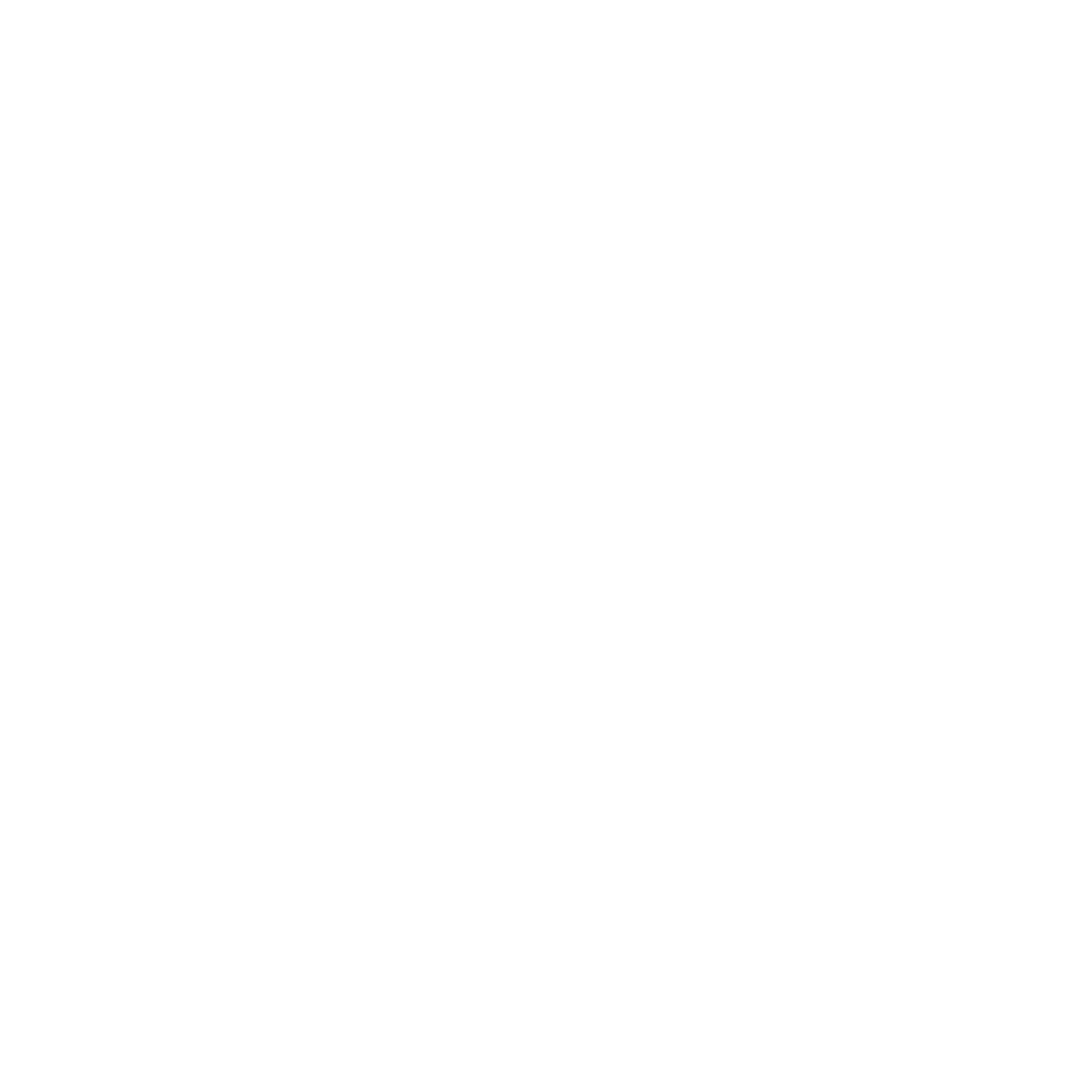VISH Logo